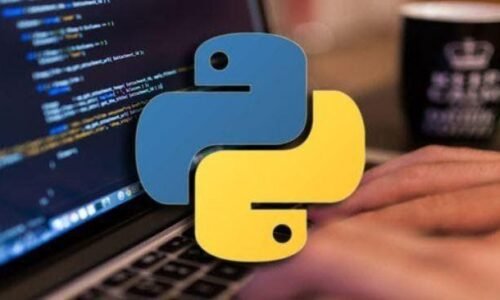 Interactive Python Programming
