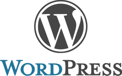 Word Press Developer