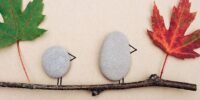 Personal Pet Rocks (Family Edition) - Outdoor Series