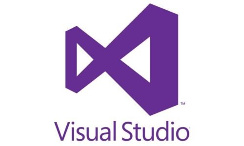 Microsoft Visual Studio Developer